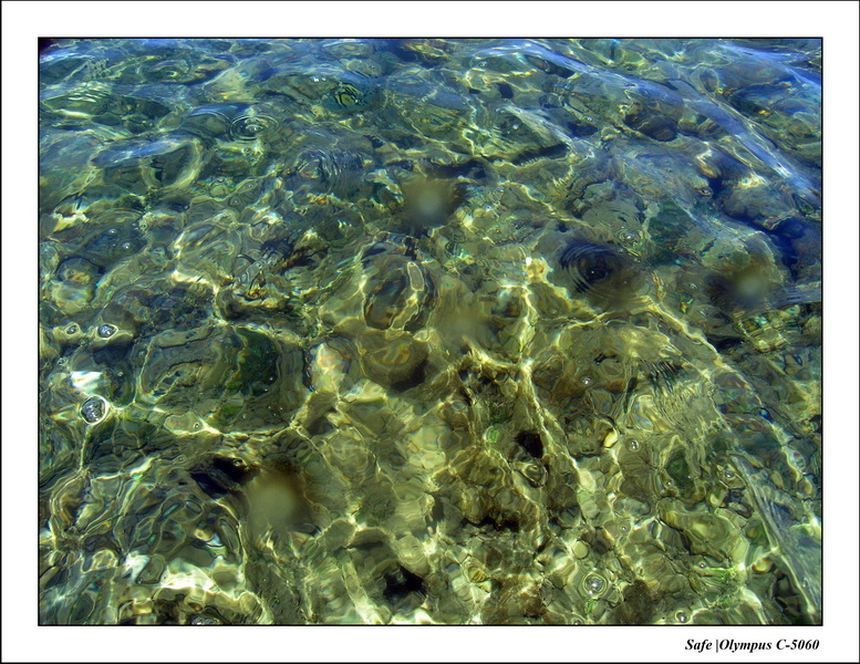 2005 - 11 - Porto de galinhas - piscines naturelles 07.JPG